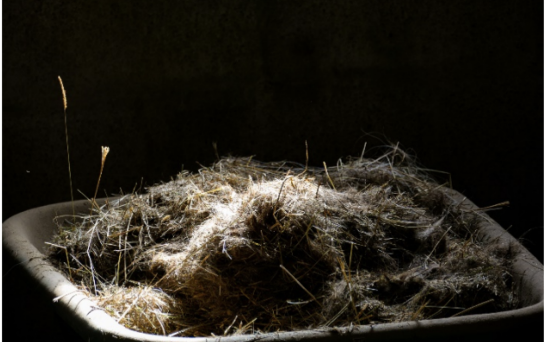 Le don