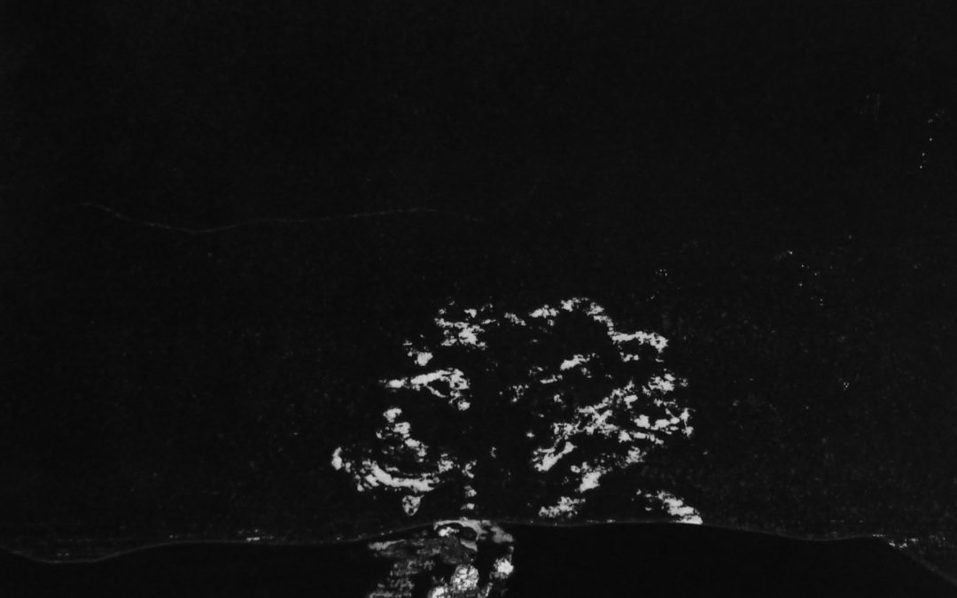 Sans titre n°21