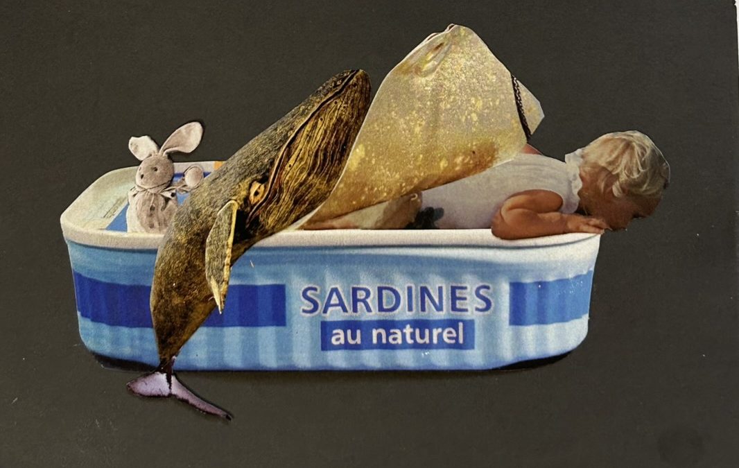 Sardines au naturel