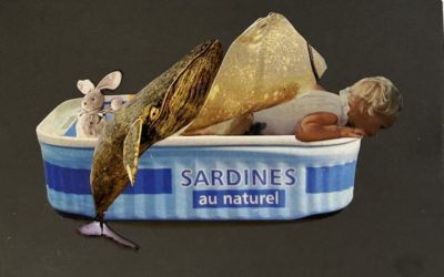 Sardines au naturel