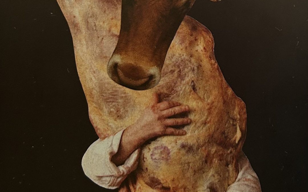 Tango avec un boeuf argentin